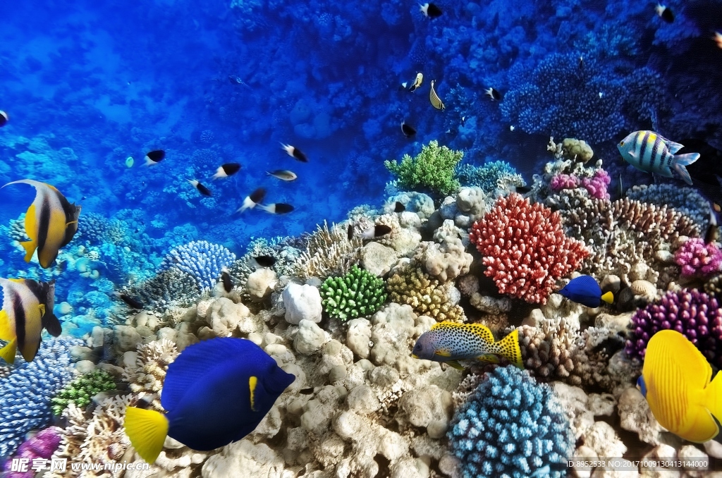 海底世界