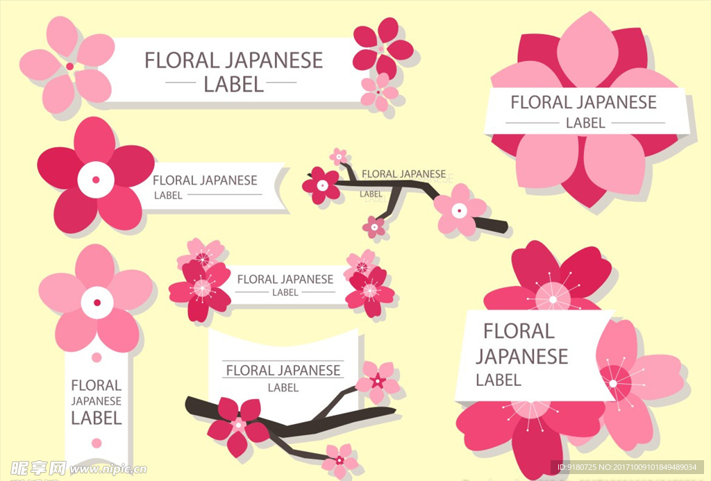 樱花梅花