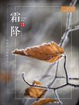 二十四节气之霜降海报