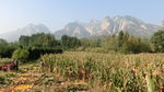 少室山秋季景色