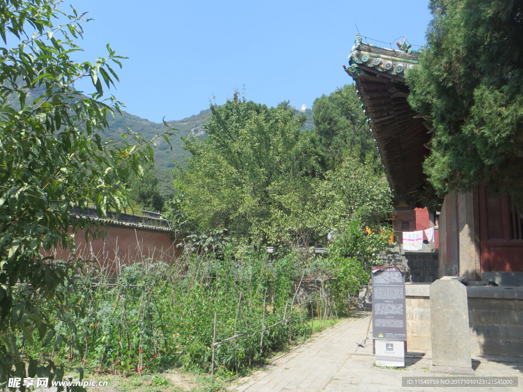 初祖庵内景