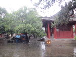雨中的嵩阳书院