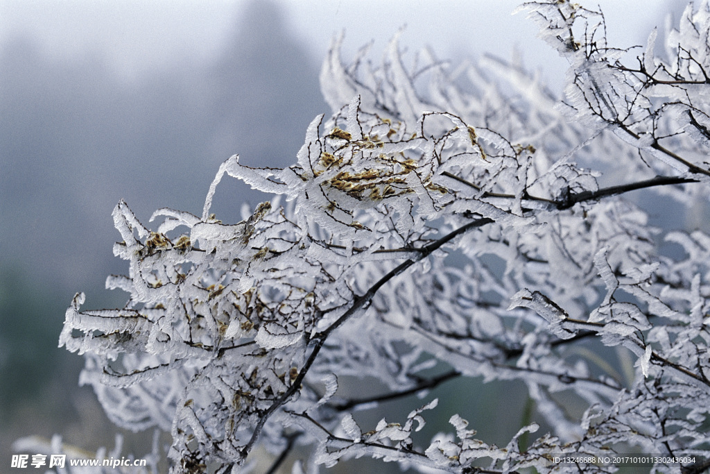 冬天雪景