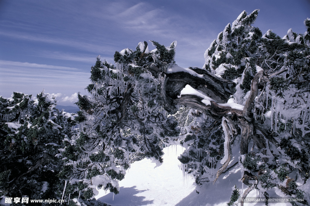 冬天雪景