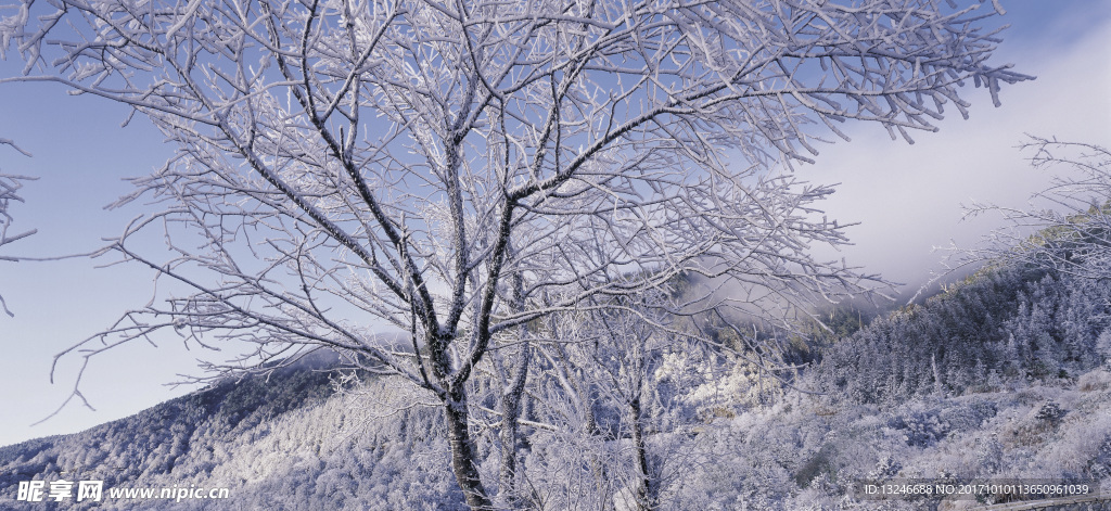 冬天雪景