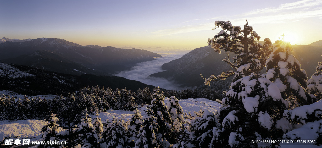 冬天雪景