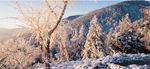 冬天雪景