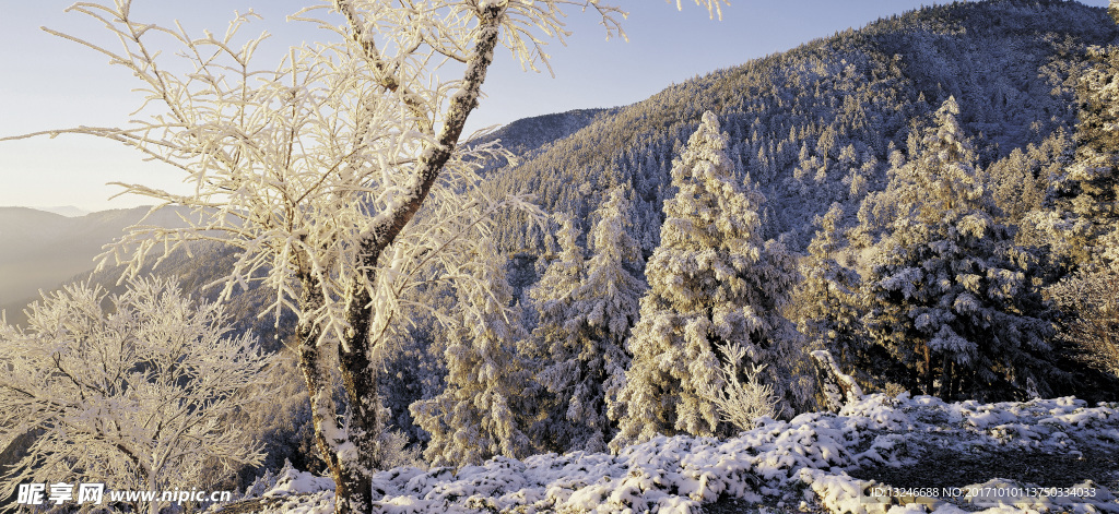 冬天雪景