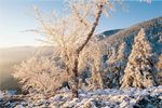冬天雪景