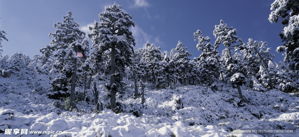 冬天雪景