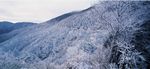 冬天雪景