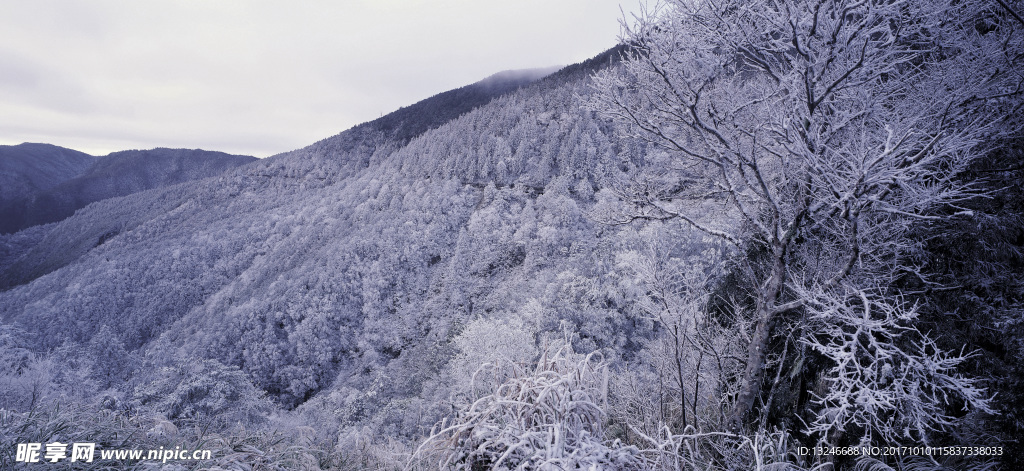 冬天雪景