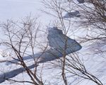 冬天雪景