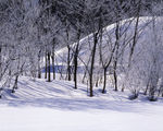 冬天雪景