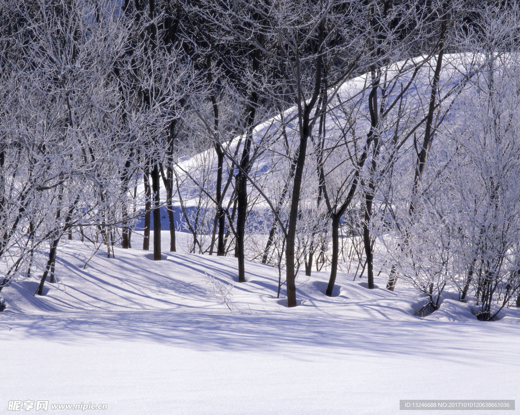 冬天雪景