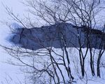 冬天雪景