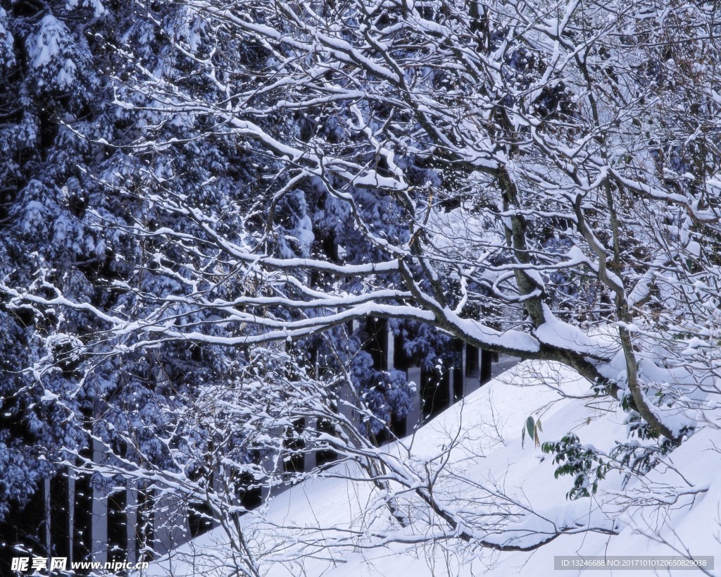 冬天雪景