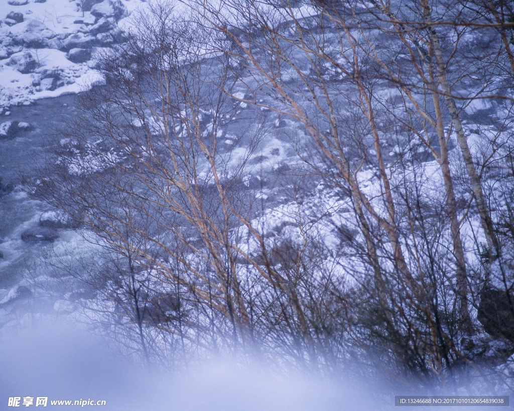 冬天雪景