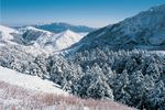 冬天雪景