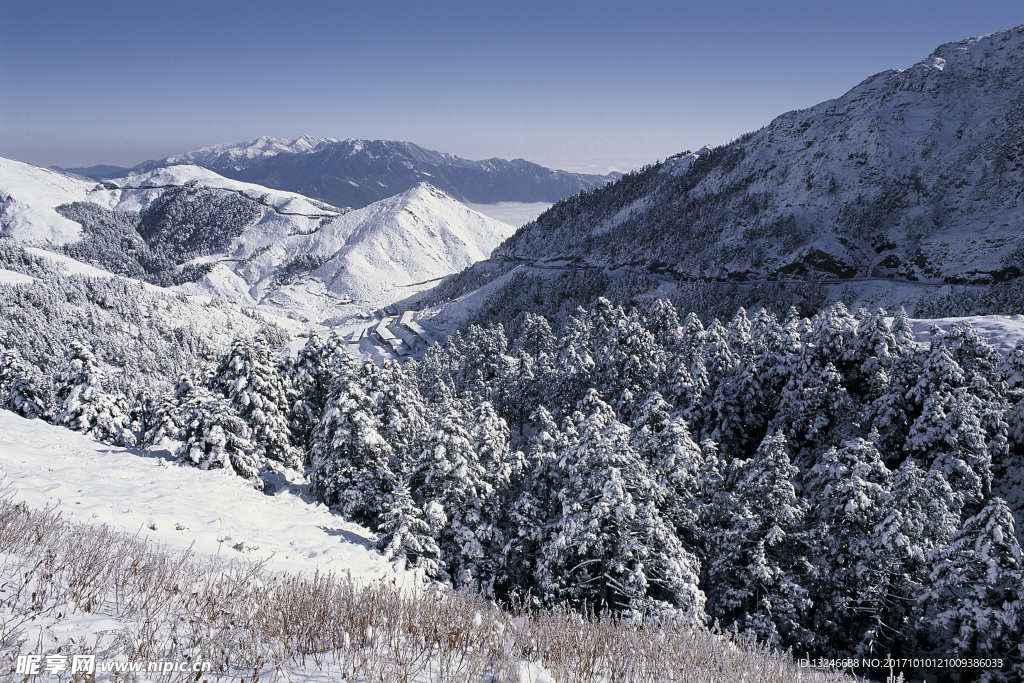 冬天雪景