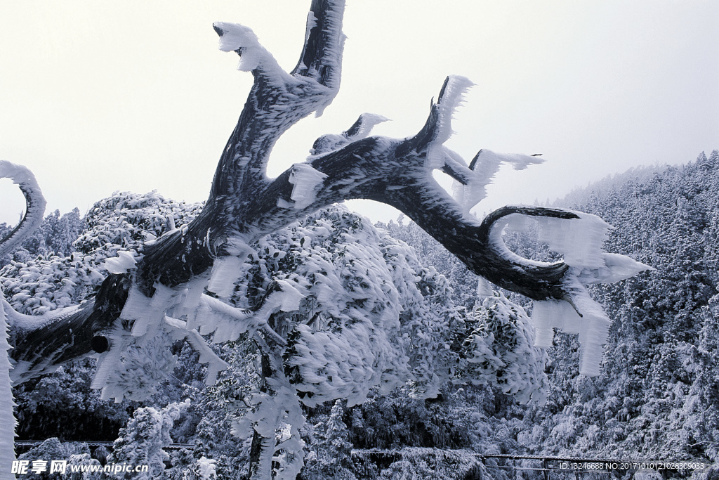 冬天雪景