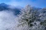 冬天雪景