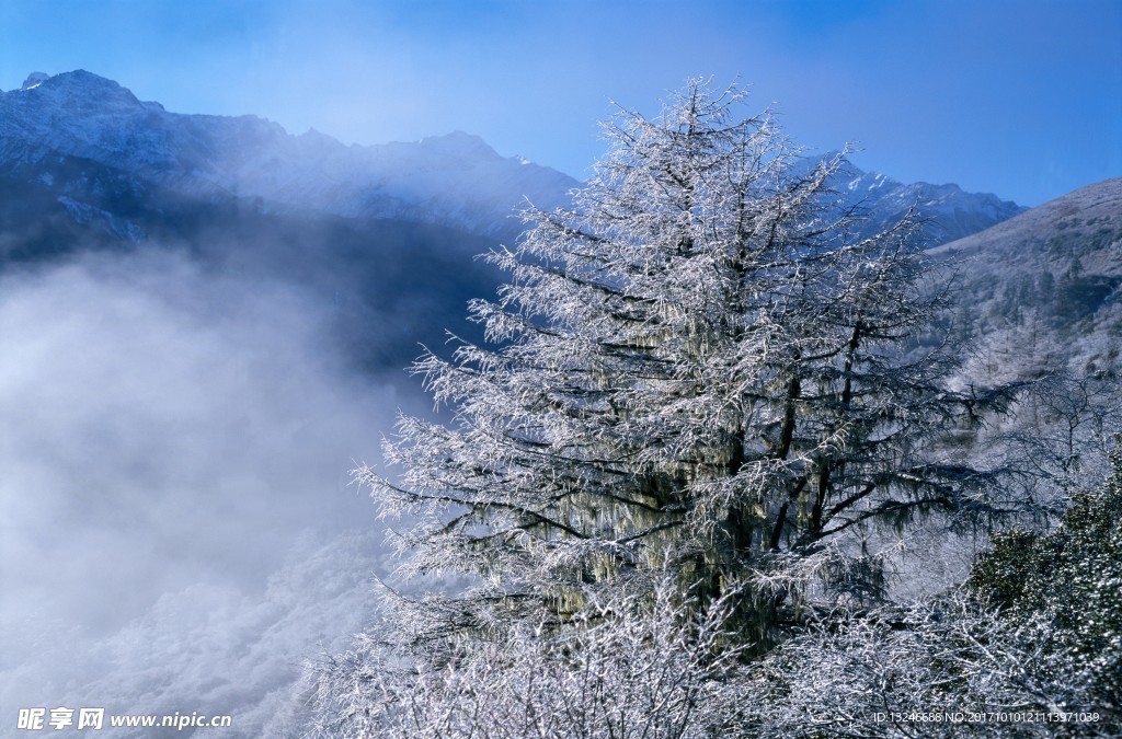 冬天雪景