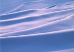 冬天雪景