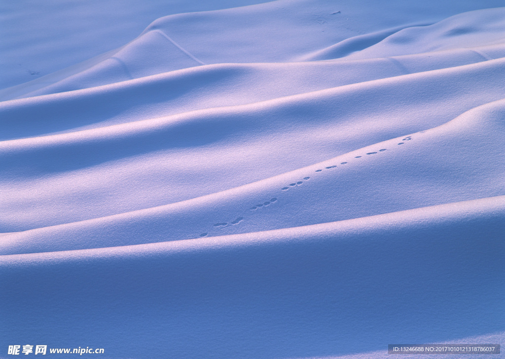 冬天雪景