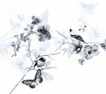 蝴蝶与鸟