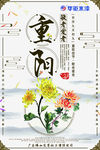 华钜水漆重阳节宣传海报广告设计