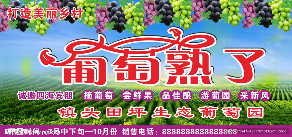 葡萄熟了广告素材