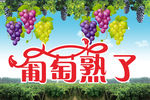 葡萄广告图