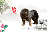獒图片复古山水背景