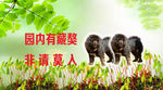 獒动物设计