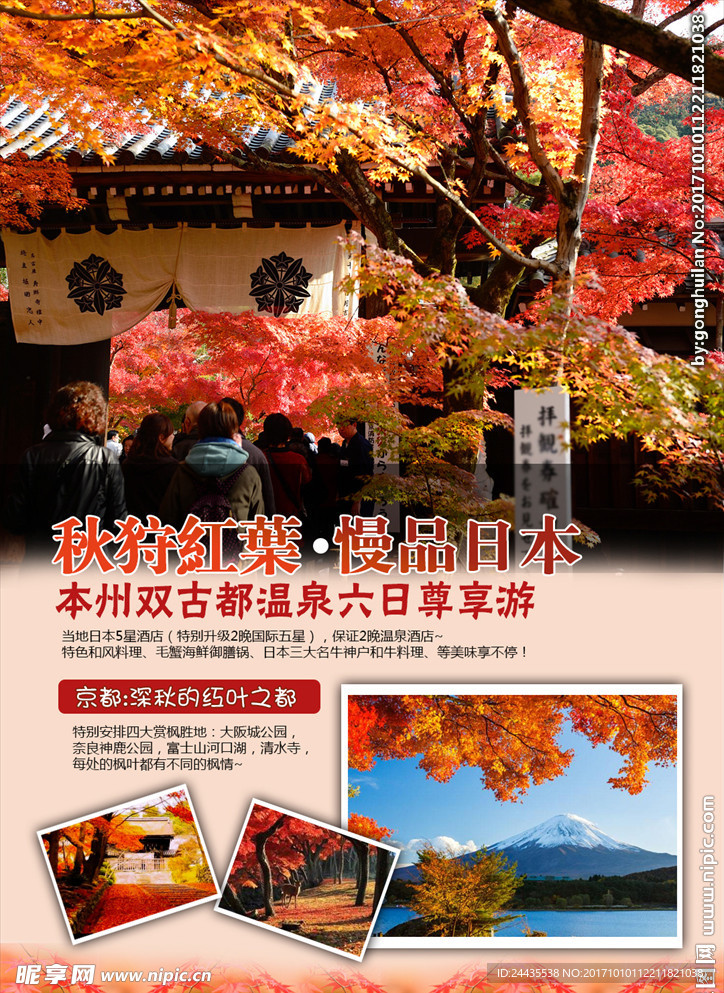 日本本州旅游  秋 红叶