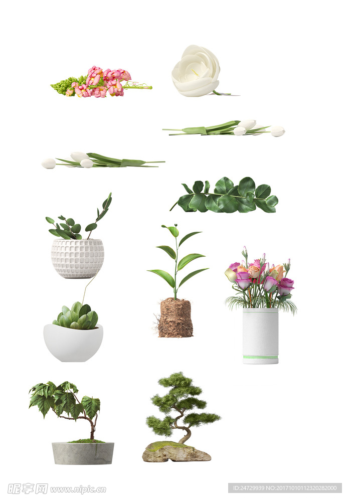 盆栽 装饰 白底 植物 花盆