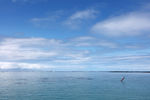 毛里求斯蓝湾的海