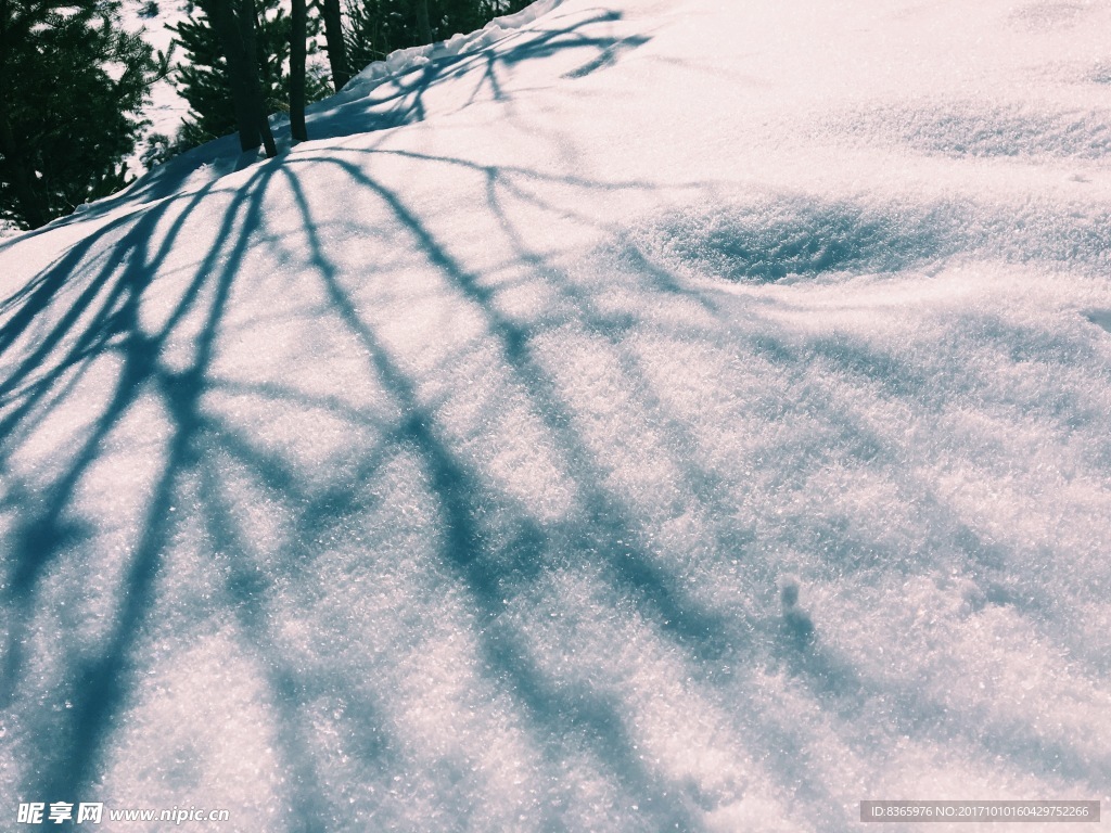 雪景