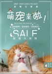 宠物店宣传