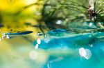 绿色水流背景图
