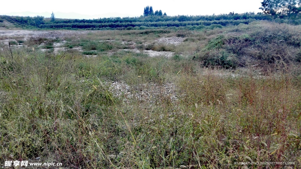 乡村风景