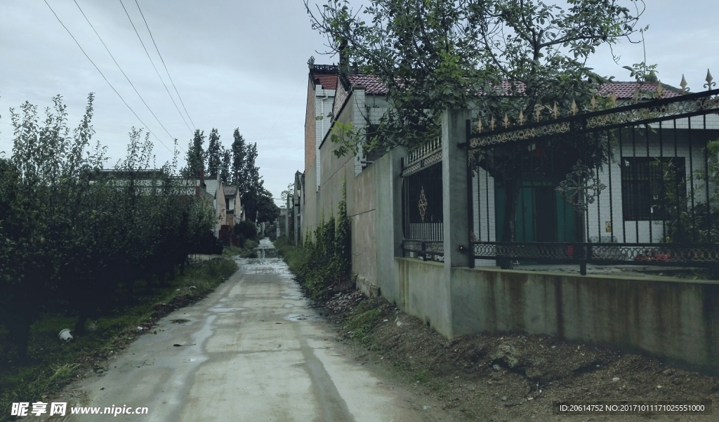 乡村道路