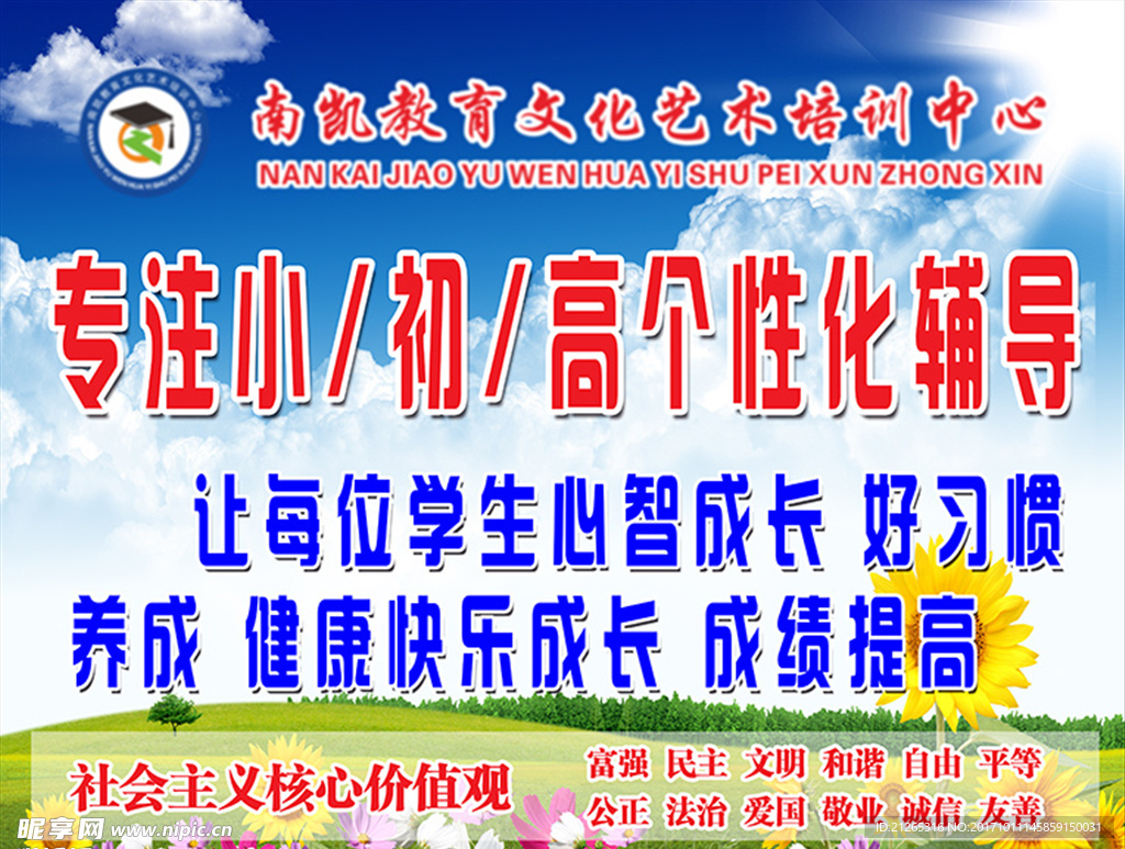 专注辅导 向日葵 蓝天白云