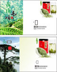 茶叶背景