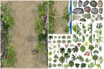 手绘公园植被花草山石水彩画元素