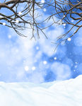 下雪的冬天