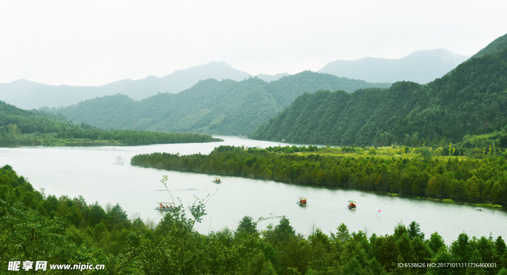 红杉林飘舟