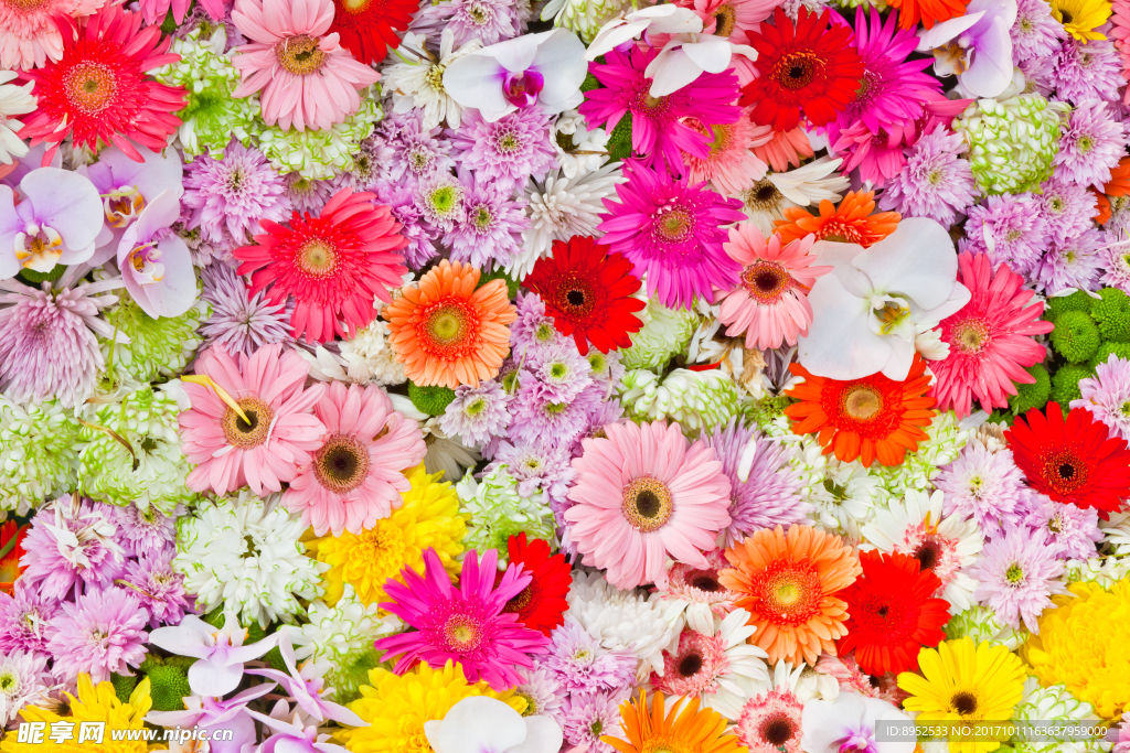 鲜花