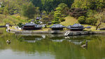西湖9